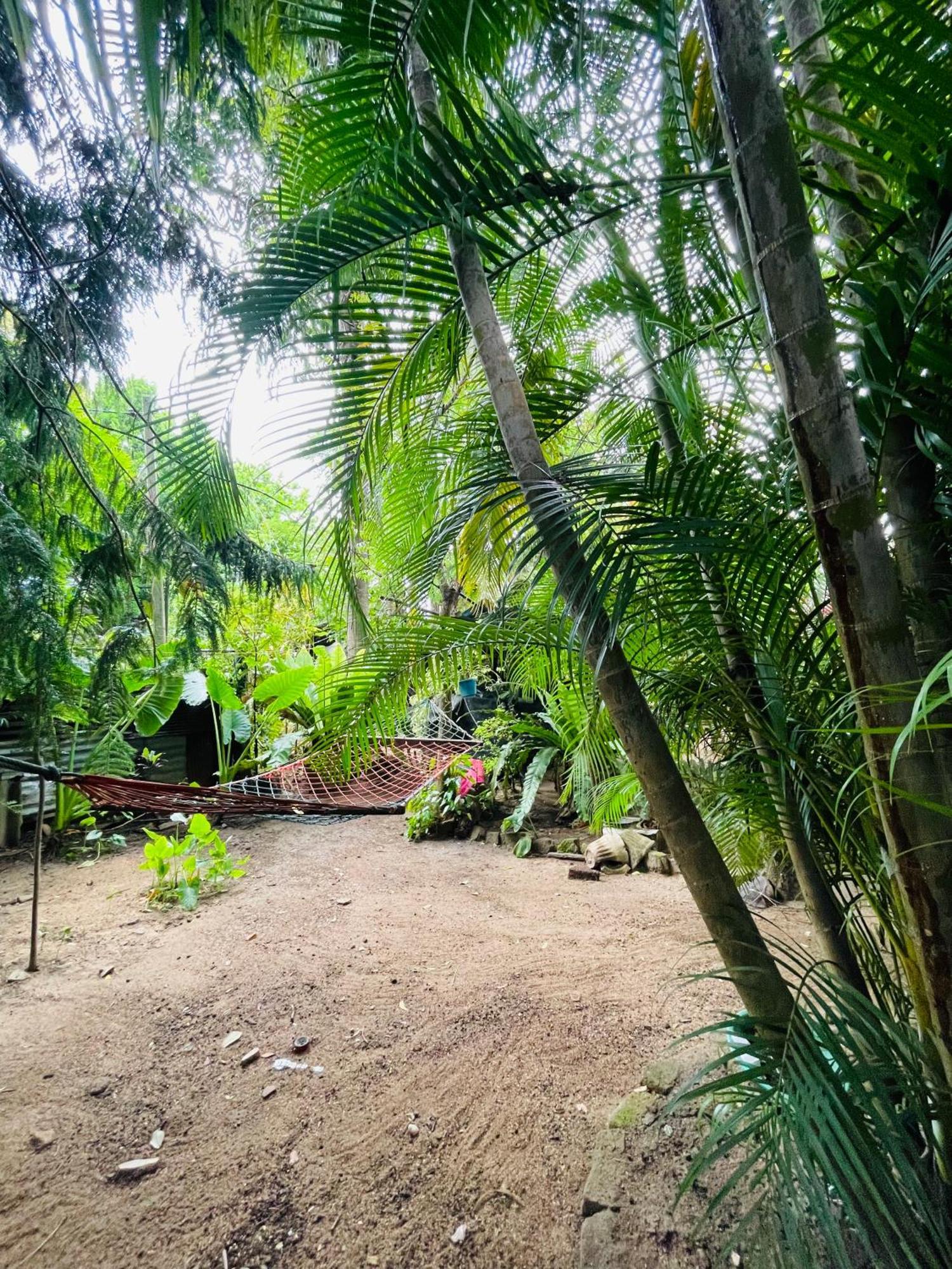 Green Grass Homestay Σιγκιρίγια Εξωτερικό φωτογραφία