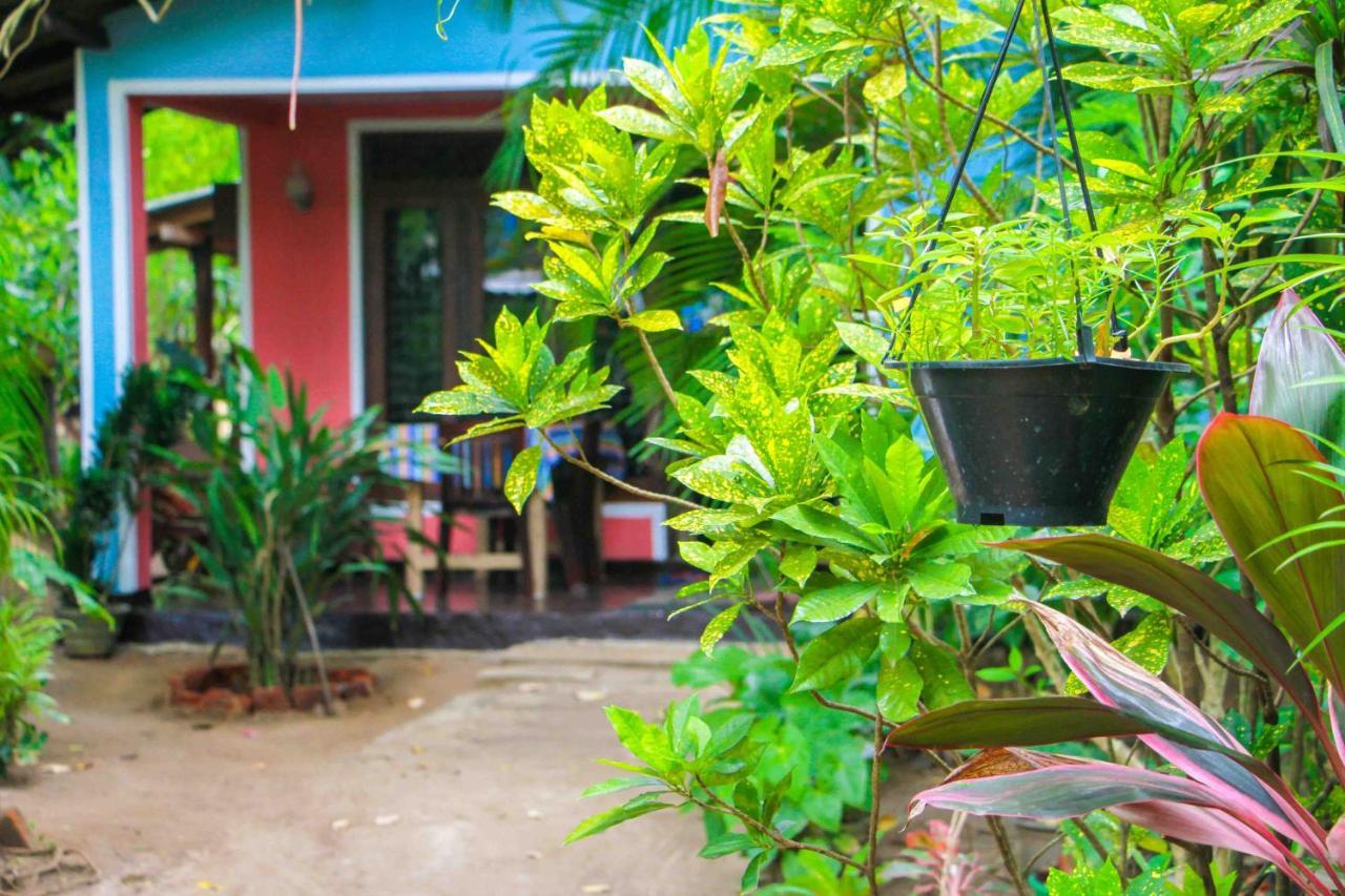 Green Grass Homestay Σιγκιρίγια Εξωτερικό φωτογραφία